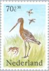 Colnect-175-821-Black-tailed-Godwit-Limosa-limosa.jpg