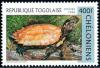 Colnect-2073-754-Black-breasted-Leaf-Turtle-Geoemyda-spengleri.jpg