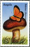 Colnect-2245-907-Boletus-chrysenteron.jpg