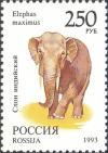 Colnect-2811-717-Asian-Elephant-Elephas-maximus.jpg