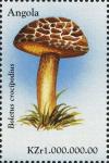 Colnect-2990-356-Boletus-crocipodius.jpg