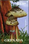 Colnect-3073-701-Lepiota-procera.jpg