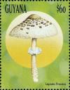 Colnect-3117-570-Lepiota-procera.jpg