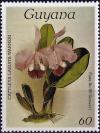 Colnect-3992-726-Cattleya-labiata-warneri.jpg