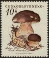 Colnect-5116-060-Pine-bolet-Boletus-pinophilus.jpg