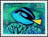 Colnect-5576-550-Palette-surgeonfish.jpg