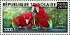 Colnect-5646-485-Scarlet-Macaw-Ara-macao.jpg