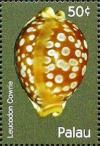 Colnect-5862-026-Leucodon-cowrie.jpg