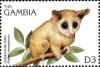 Colnect-5951-689-Lesser-bush-baby.jpg