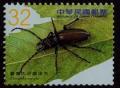 Colnect-1854-033-Beetle-Dorysthenes-pici.jpg