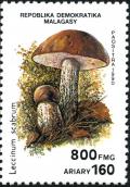 Colnect-2165-303-Leccinum-scabrum.jpg