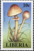 Colnect-3120-035-Lepiota-cristata.jpg