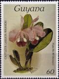 Colnect-3992-726-Cattleya-labiata-warneri.jpg