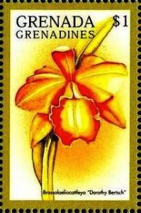 Colnect-4385-415-Brassolaeliocattleya--quot-Dorothy-Bertsch-quot-.jpg