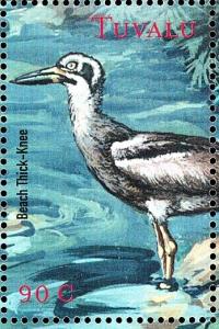 Colnect-4008-329-Beach-Stone-curlew%C2%A0%C2%A0%C2%A0%C2%A0Esacus-magnirostris.jpg