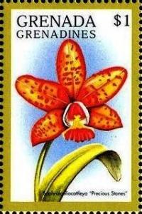 Colnect-4385-422-Sophralaeliocattleya--quot-Precious-Stones-quot-.jpg