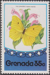 Colnect-1436-475-Yellow-angled-Sulphur-Anteos-maerula.jpg