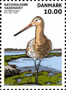 Colnect-2721-516-Black-tailed-Godwit-Limosa-limosa.jpg