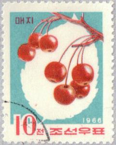 Colnect-2613-475-Siberian-crabapple-Malus-baccata-var-Mandshurica.jpg