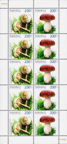 Colnect-5349-533-Shaggy-Parasol-Macrolepioda-rhacodes-Cep-Boletus-edulis.jpg