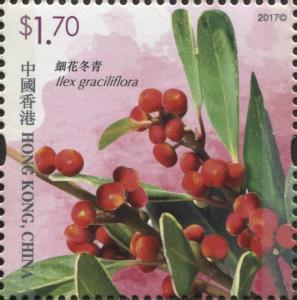 Colnect-4875-424-Ilex-graciliflora.jpg