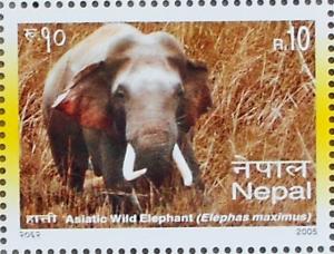 Colnect-1206-814-Asian-Elephant-Elephas-maximus.jpg