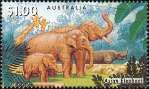 Colnect-1564-664-Asian-Elephant-Elephas-maximus.jpg