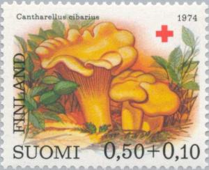 Colnect-159-634-Chantarelle-Cantharellus-cibarius.jpg