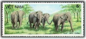 Colnect-1631-628-Asian-Elephant-Elephas-maximus.jpg