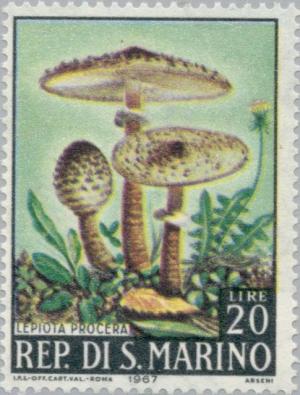 Colnect-171-555-Lepiota-procera.jpg