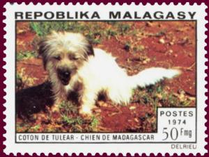 Colnect-1733-650-Coton-de-Tulear-Canis-lupus-familiaris.jpg