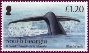 Colnect-1757-311-Blue-Whale-Balaenoptera-musculus.jpg