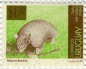 Colnect-1830-948-Southern-Naked-tailed-Armadillo-Cabassous-unicinctus.jpg