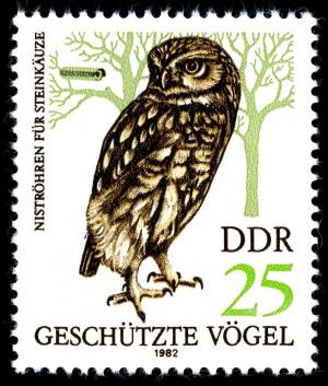 Colnect-1981-877-Little-Owl-Athene-noctua.jpg