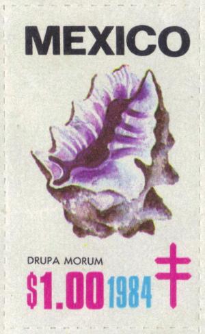 Colnect-2207-042-Purple-drup-Drupa-morum.jpg