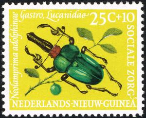 Colnect-2222-427-Stag-Beetle-Neolamprina-adolphinae.jpg