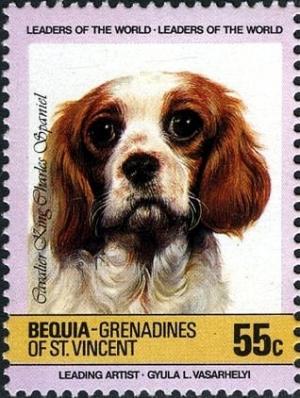 Colnect-2279-919-Cavalier-King-Charles-Spaniel-Canis-lupus-familiaris.jpg