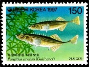 Colnect-2511-002-Amur-Stickleback-Pungitius-sinensis.jpg