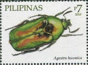 Colnect-2853-279-Beetle-Agestra-luconica.jpg