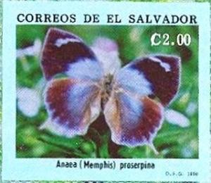 Colnect-2953-417-Proserpina-Leafwing-Memphis-proserpina.jpg