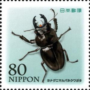 Colnect-3048-711-Stag-Beetle-Neolucanus-insulicola.jpg