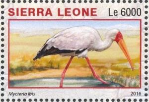 Colnect-3566-124-Yellow-billed-Stork---Mycteria-ibis.jpg