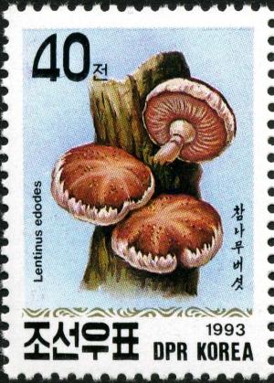 Colnect-3678-762-Lentinus-edodes.jpg