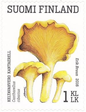 Colnect-3682-677-Chanterelle-Cantharellus-cibarius.jpg