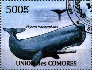 Colnect-3798-601-Sperm-Whale-Physeter-macrocephalus.jpg