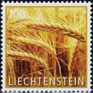 Colnect-3976-808-Barley-Hordeum-vulgare.jpg