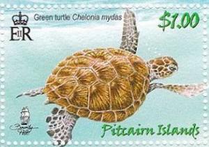 Colnect-4002-015-Green-Turtle-Chelonia-mydas-swimming.jpg