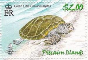 Colnect-4002-016-Green-Turtle-Chelonia-mydas-on-beach.jpg