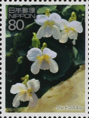 Colnect-4009-602-Violets-Viola-kitmiana.jpg