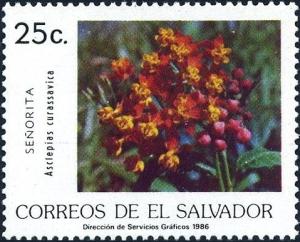 Colnect-4033-064-Asclepias-curassavica.jpg